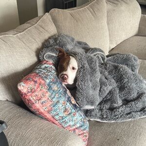 Meet your Posher, Tyrell